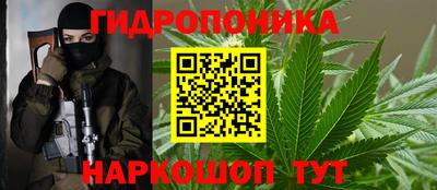 гидропоника Заволжье